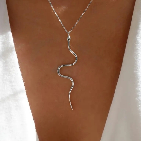 Jewelry - Snake Pendant Necklace silver tone